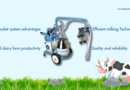How Milking Machines Transformed Dairy Farms