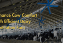 Enhance Cow Comfort with Efficient Dairy Ventilation Fans
