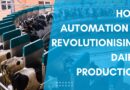 How Automation is Revolutionising Dairy Production 