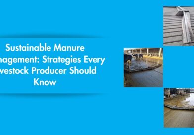Sustainable Manure Management: Strategies Every Livestock Producer Should Know 
