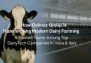 How Delmer Group is Transforming Modern Dairy Farming: A Trusted Name Among Top Dairy Tech Companies in India & Italy  