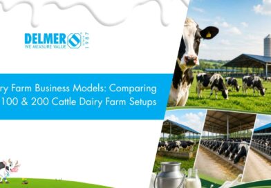Dairy Farm Business Models: Comparing 50, 100 & 200 Cattle Dairy Farm Setups  